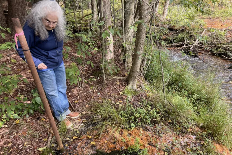 ‘Save Our Streams’ advocate still fighting the good fight